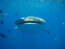 IMG_9961.JPG