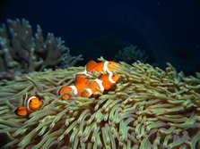 IMG_5254.JPG