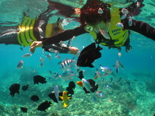 IMG_9955.JPG