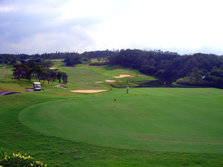 golf1.jpg