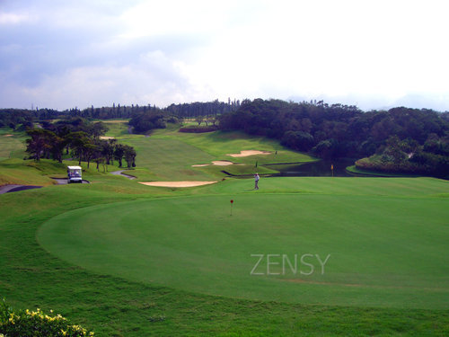 golf1.jpg