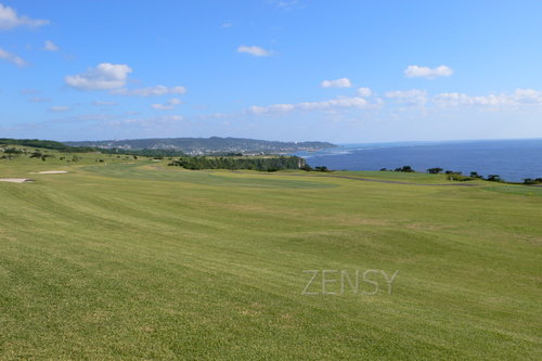 golf6.JPG