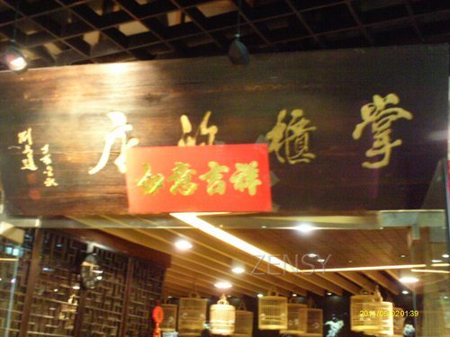 IMAG0124.JPG