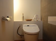 ToiletPaperTrayDoubleAndToilet_500x370.jpg