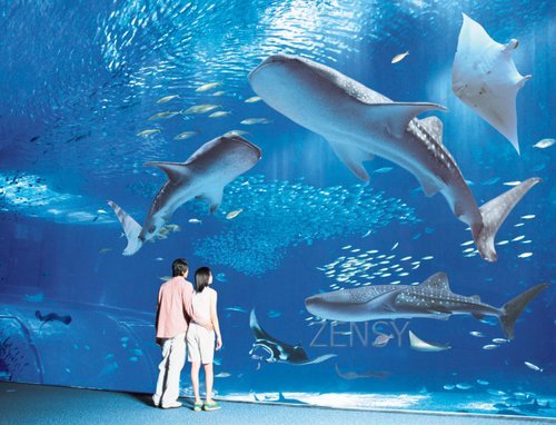 水族馆3