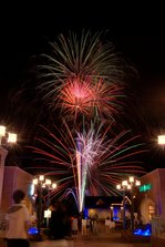 D207534夏花火2010