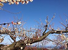 IMG_3889
