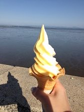 IMG_3895