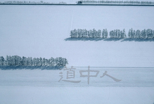 防風林