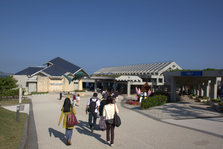 IMG_7245.jpg