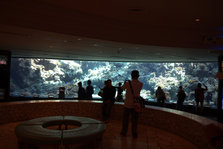 IMG_7246.jpg