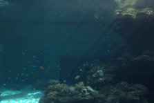 IMG_7251.jpg