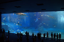 IMG_7262.jpg