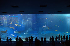 IMG_7264.jpg