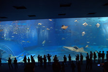 IMG_7265.jpg