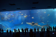 IMG_7266.jpg