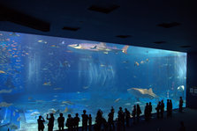 IMG_7270.jpg