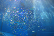 IMG_7280.jpg