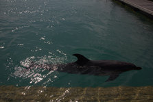 IMG_7320.jpg