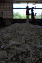IMG_7338.jpg