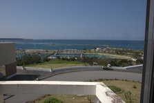 IMG_7351.jpg
