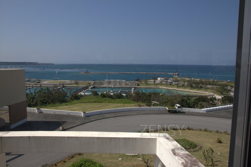 IMG_7351.jpg