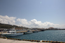 IMG_7356.jpg