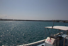 IMG_7357.jpg