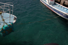 IMG_7358.jpg