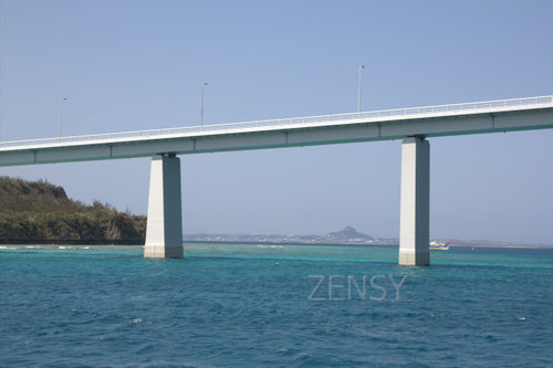IMG_7365.jpg