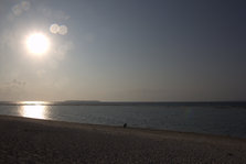 IMG_7366.jpg