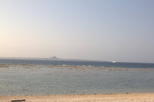 IMG_7369.jpg