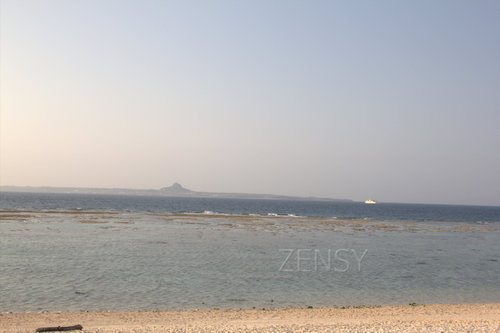 IMG_7369.jpg