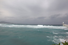 IMG_7427.jpg