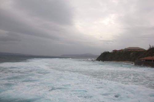 IMG_7436.jpg