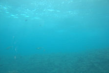 IMG_7442.jpg
