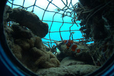 IMG_7446.jpg