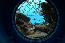 IMG_7449.jpg
