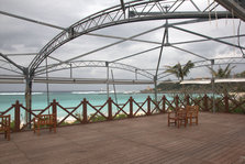 IMG_7464.jpg