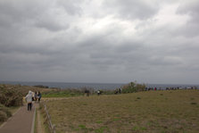 IMG_7471.jpg
