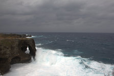 IMG_7474.jpg