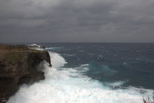 IMG_7476.jpg