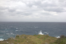 IMG_7494.jpg