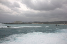 IMG_7497.jpg