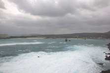 IMG_7499.jpg