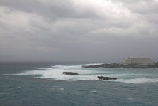 IMG_7502.jpg