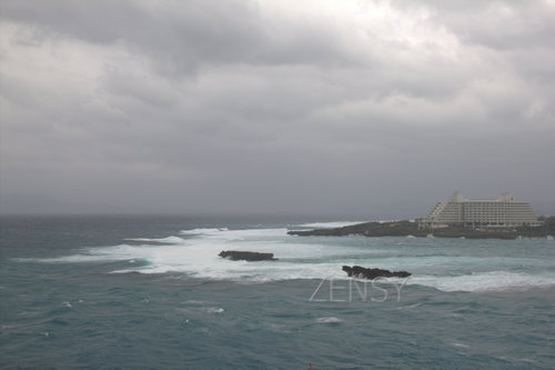 IMG_7502.jpg