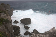 IMG_7504.jpg