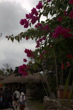 IMG_7580.jpg