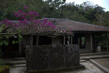 IMG_7596.jpg